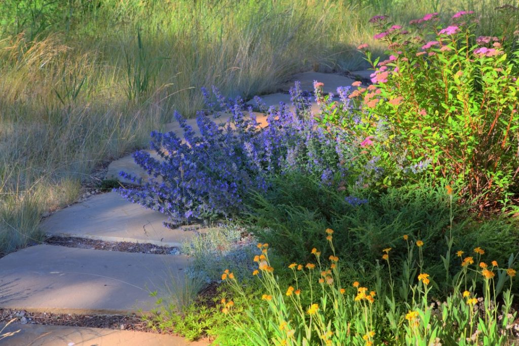 Photo of landscaping detail: rise in rock path with native planting