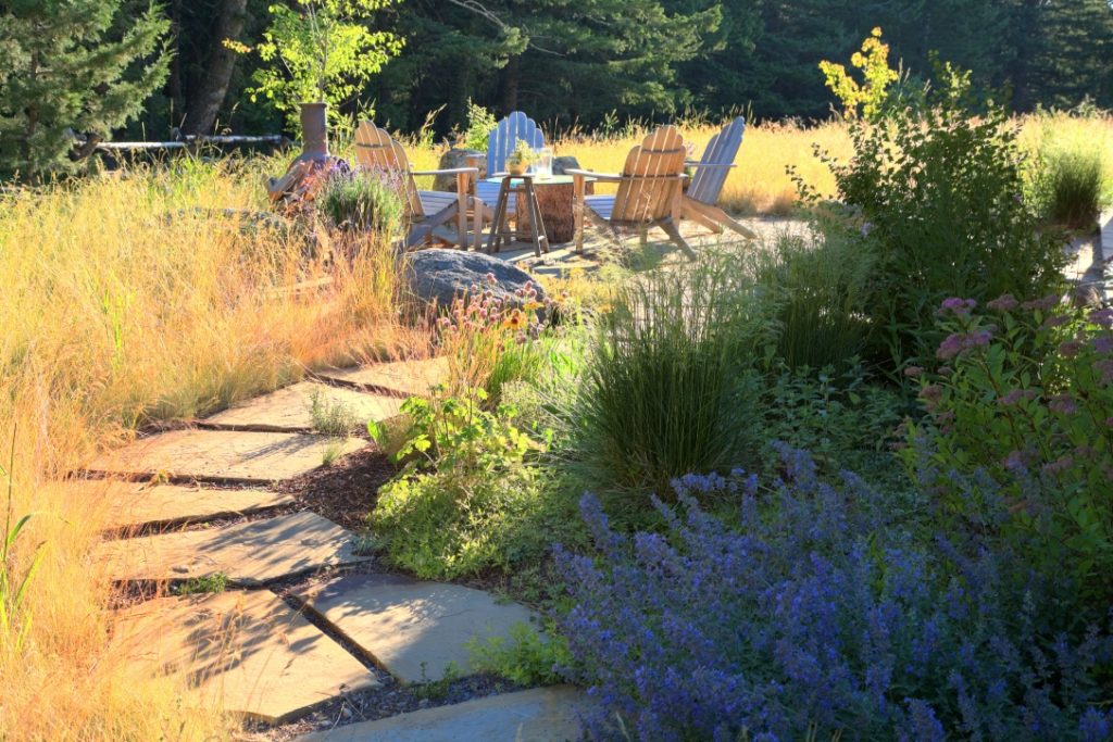 Photo of natural landscaping path and plantings