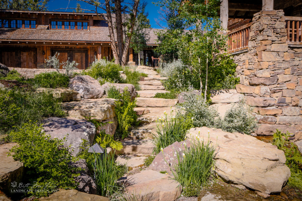 Photo of natural looking rocks and native plants with building in the background