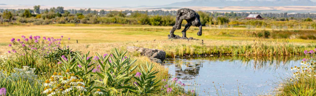 Banner sized image of milkweed, pearly everlasting, and echnacia beside pond with sculpture on far side