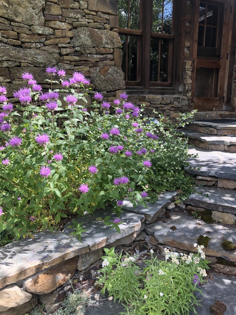 Photo of stone building, stone walkway and flower beds.